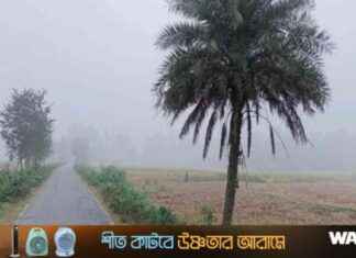 Chuadanga Shaking at 9.6 Degrees: Earthquake Updates chuadanga-shaking-at-96-degrees-earthquake-updates