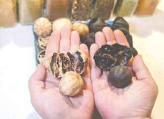 Reasons why residents of the Middle East prefer black lemonsSEO-Friendly Title: Why Middle Eastern Residents Prefer Black Lemons: Reasons reasons-why-residents-of-the-middle-east-prefer-black-lemonsseo-friendly-title-why-middle-eastern-residents-prefer-black-lemons-reasons