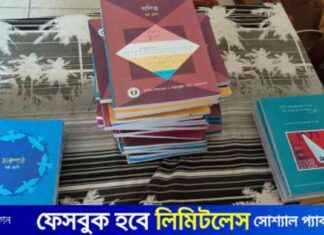 Challenges Faced by Eighth Grade Students in Bagerhat challenges-faced-by-eighth-grade-students-in-bagerhat