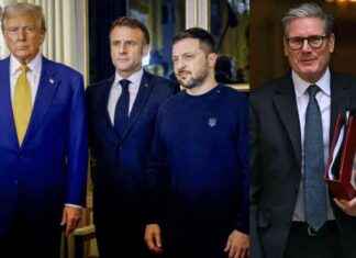 Trump does nothing to stop the war in Ukraine trump-does-nothing-to-stop-the-war-in-ukraine