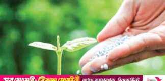 Benefits of Using Chemical Fertilizers benefits-of-using-chemical-fertilizers