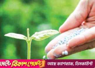 Benefits of Using Chemical Fertilizers benefits-of-using-chemical-fertilizers