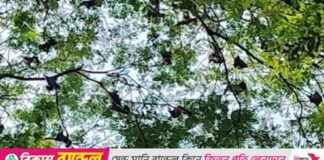 Attraction of Badshahi Empire in Badur for 25 years (with video) attraction-of-badshahi-empire-in-badur-for-25-years-with-video