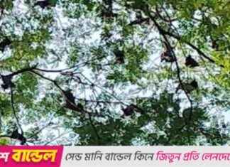 Attraction of Badshahi Empire in Badur for 25 years (with video) attraction-of-badshahi-empire-in-badur-for-25-years-with-video