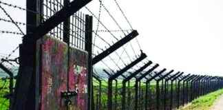 BSF জওয়ানদের সীমান্তে ঘাস কাটা বাংলাদেশিরা খুব সহজে দেখতে পারেন bsf