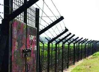 BSF জওয়ানদের সীমান্তে ঘাস কাটা বাংলাদেশিরা খুব সহজে দেখতে পারেন bsf