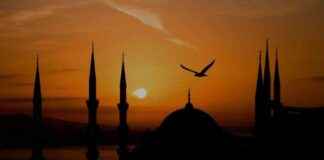 Law on giving property to daughters to prevent harassment. law-on-giving-property-to-daughters-to-prevent-harassment