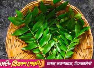 Maintaining a Healthy Heart with Reduced Constipation Symptoms maintaining-a-healthy-heart-with-reduced-constipation-symptoms