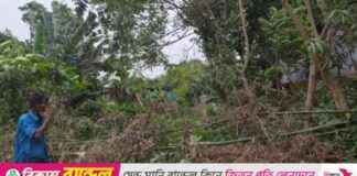 Thieves Blocking Home Road with Insults, Three Families Affected thieves-blocking-home-road-with-nsults-three-families-affected