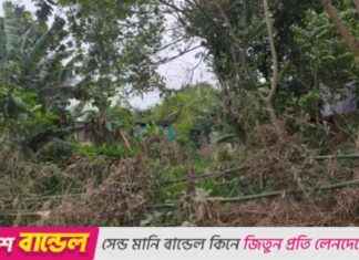 Thieves Blocking Home Road with Insults, Three Families Affected thieves-blocking-home-road-with-nsults-three-families-affected