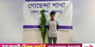 پنچگڑ میں بادام کی کاشت کرنے والے یوتھ کی کہانی