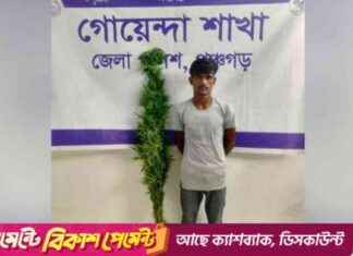 پنچگڑ میں بادام کی کاشت کرنے والے یوتھ کی کہانی