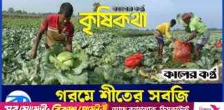 گرمی میں بندوق کا استعمال کرنے والے کسان کی ناکامی