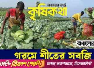 گرمی میں بندوق کا استعمال کرنے والے کسان کی ناکامی