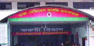 باغبانی میں درختوں کی میلے میں کوک ٹیل کا دھماکا، ایک زخمی